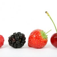 Fruits