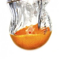 Splash
