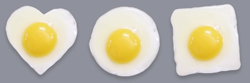 fried eggs fried eggs