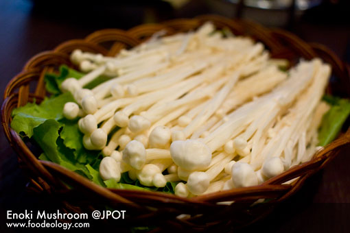 Enoki-Mushroom_JPOT Enoki-Mushroom_JPOT