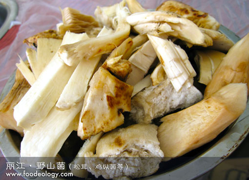 Mushrooms_Lijiang 丽江野山菌