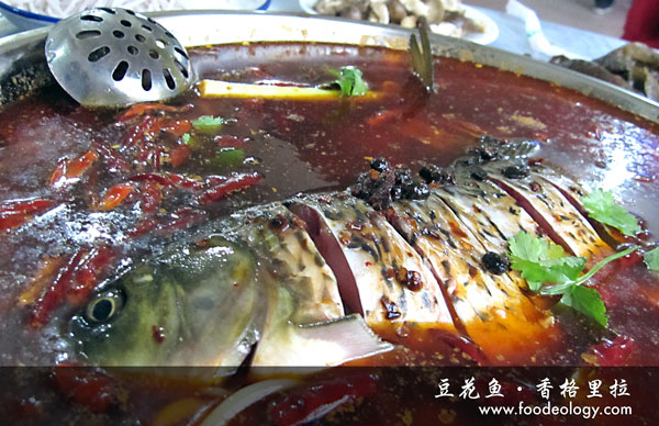 Dou-Hua-Yu_Shangri-la 豆花鱼