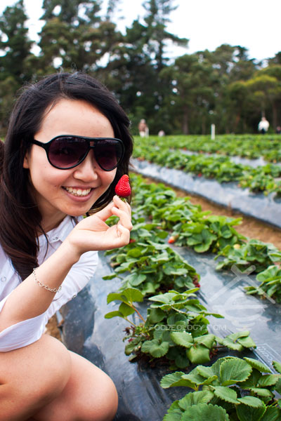 Strawberry-and-Me-1 Sunny-Ridge-Strawberry-Farm_Melbourne