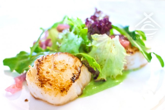Scallop_Da-Paolo Scallop_Da-Paolo
