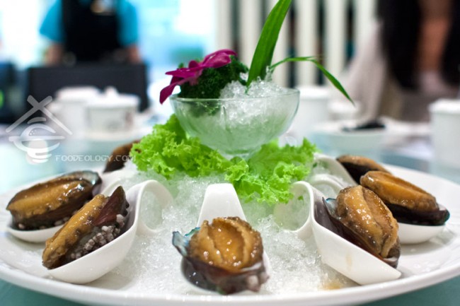 Abalone_Putien