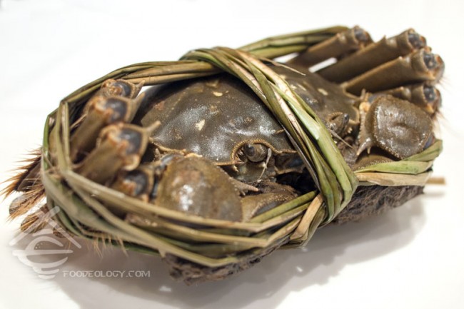 Hairy-Crab-Live_Putien