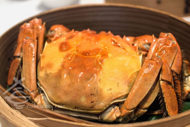 Hairy-Crab-right_Putien
